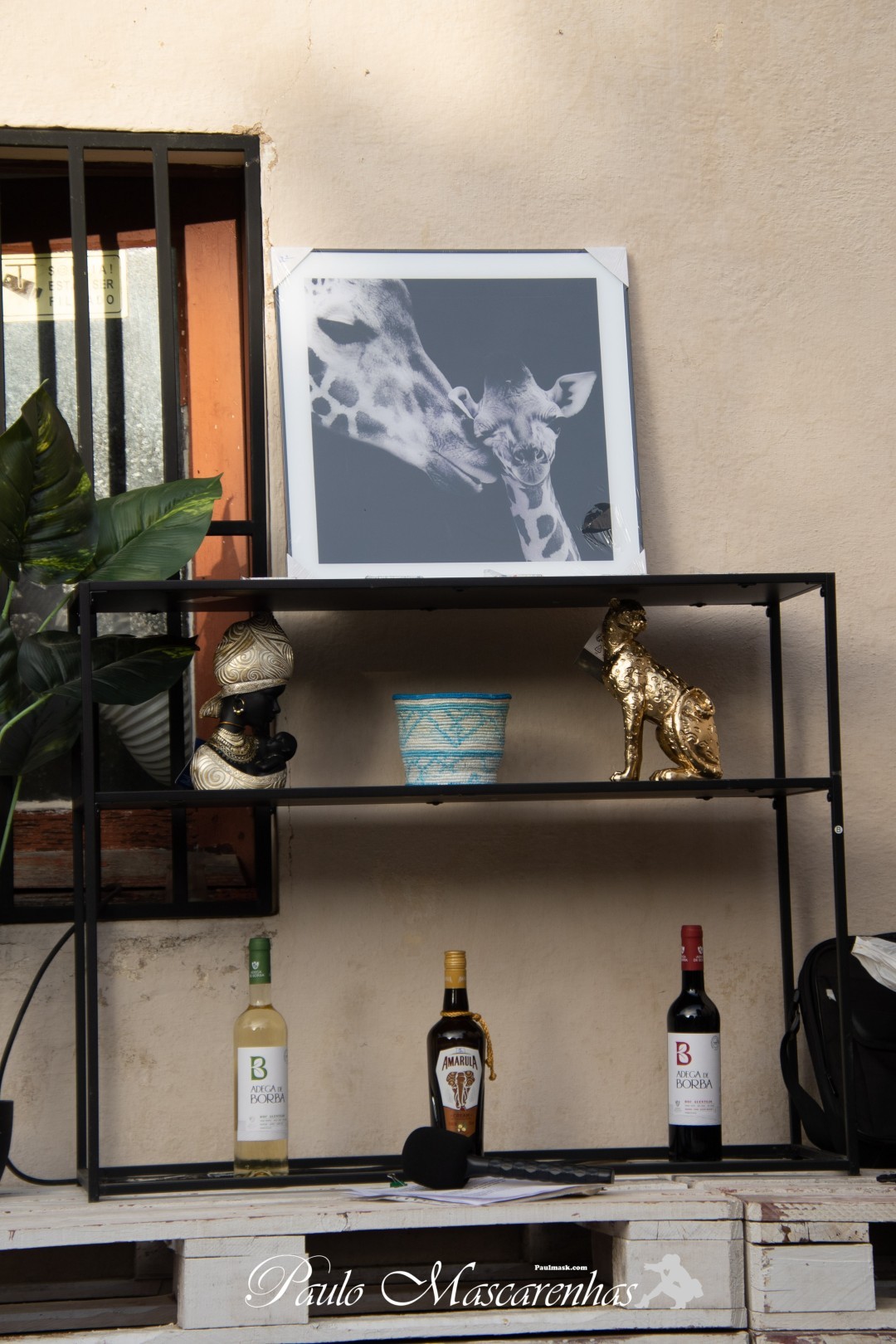 Adega de Borba - Galeria
